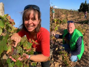 Weintasting