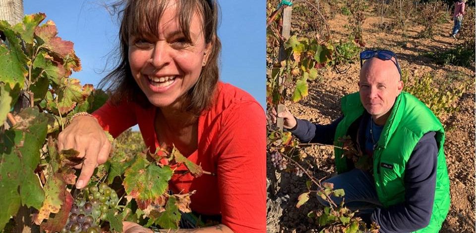 Unsere 1. Online Weintastings veranstalten wir im Februar