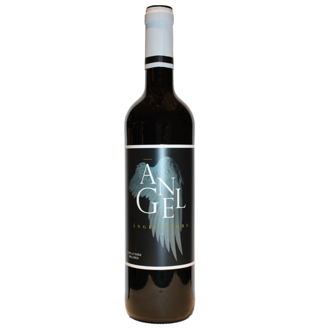 Bodega Angel Tinto 2022