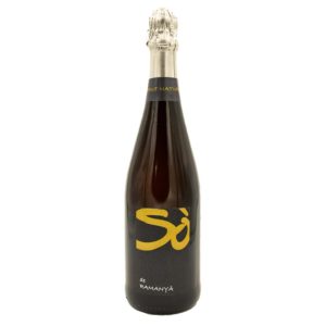 SÒ de RAMANYÀ