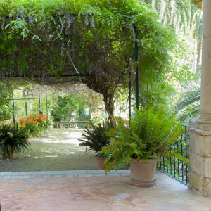 Jardines de Alfabia