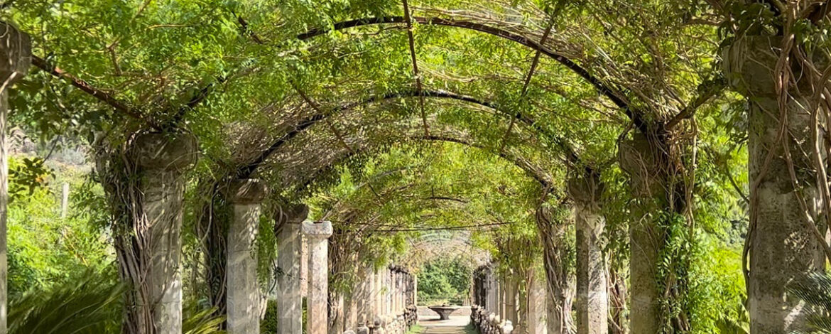 Sollte jeder mal besuchen – die Jardines de Alfabia