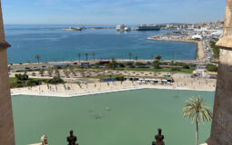 Ein Besuch der Terrassen der Kathedrale “La Seu” in Palma de Mallorca